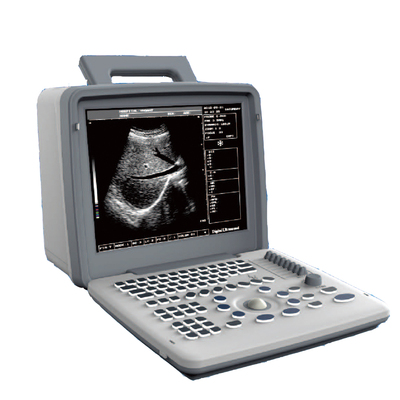 Black and white ultrasound